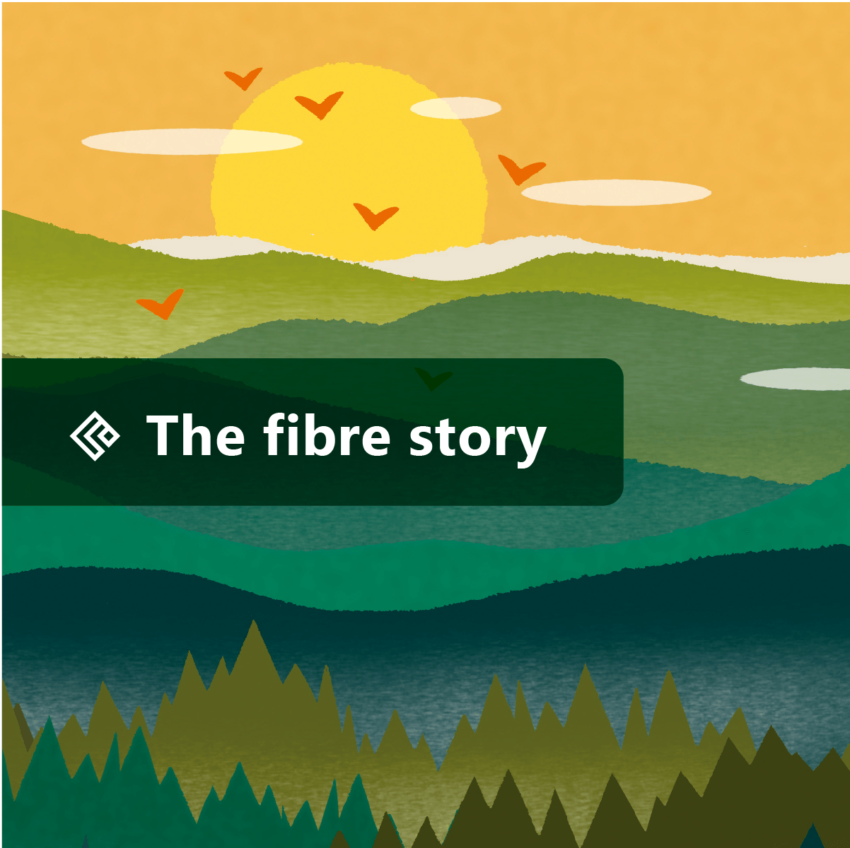 The Fibre Story